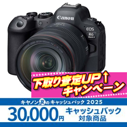キヤノンEOS R6 MkII・RF24-105L ISキット ★キャッシュバック&下取CP★