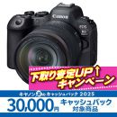 キヤノンEOS R6 MkII・RF24-105L ISキット ★キャッシュバック&下取CP★