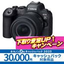 キヤノンEOS R6 MkII・RF24-105 IS STMキット ★キャッシュバック&下取CP★