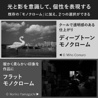 ニコン Zf シルバー ボディ [9/26発売]【ご予約】★キャンペーン