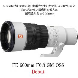 ソニー FE600mm F6.3GM OSS【Wキャンペーン中】[10/9発売]【ご予約】