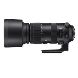 シグマ　S 60-600mmF4.5-6.3 DG OS HSM ニコンF用【ズバリ特価/在庫限】