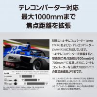 パナソニックLUMIX S 100-500mm F5-7.1 O.I.S. [11/20発売【ご予約