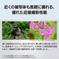 パナソニックLUMIX S 100-500mm F5-7.1 O.I.S. [11/20発売【ご予約