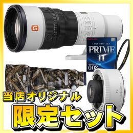 ソニー FE600mm F6.3 GM OSS [10/9発売]【ご予約】選べるテレコンセット