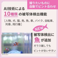 ニコン Z5IIC 24-50 レンズキット [10/23発売]【ご予約】