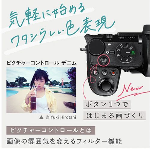 荻窪カメラのさくらや / ニコン Z50II ボディ【数量限定特典付】