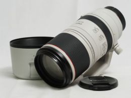 キヤノン RF 100-500mm F4.5-7.1L IS USM 【中古】(L:143）