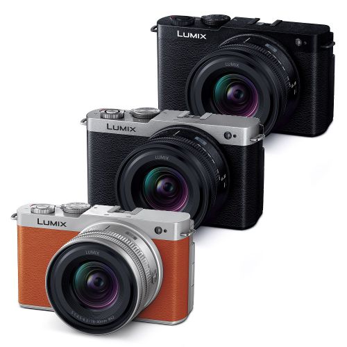 【新品未使用】Panasonic LUMIX ズームレンズキット DC-S9N 3年保険付] Panasonic LUMIX S9 ミラーレス一眼小型広角ズーム