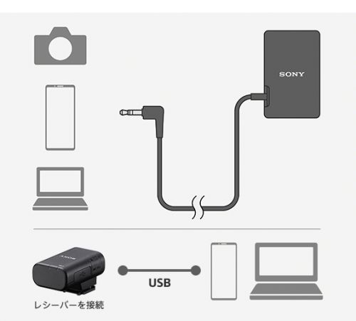SONY ワイヤレスマイクロホン　ECM-W3S ECM-W3S 購入 | デジタル一眼カメラ α：アルファ | ソニー