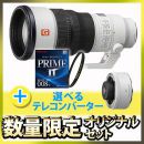 ソニー FE400mm F4.5 GM OSS[10/9発売]  選べるテレコンセット