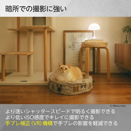 荻窪カメラのさくらや / ニコン NIKKOR Z DX 16-50mm f/2.8 VR [10/31発売]