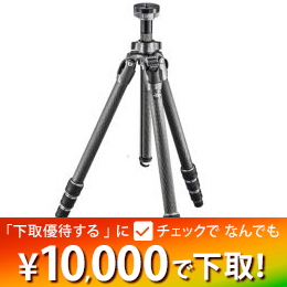 GITZO マウンテニア三脚 2型4段　GT2542 ★下取り優待1/31まで★