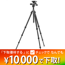 GITZOマウンテニア三脚GT2542+雲台GHF3Wキット[GK2542-F3W]★優待1/31迄