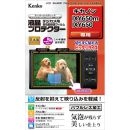 ケンコー液晶プロテクター キヤノンIXY650m/IXY650用 KLP-CIXY650M