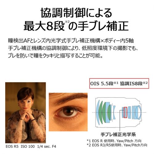 荻窪カメラのさくらや / キヤノン RF135mm F1.8 L IS USM