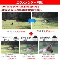 キヤノン RF200-800mm F6.3-9 IS USM ★キャンペーン★