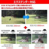 キヤノン RF200-800mm F6.3-9 IS USM [12月8日発売]