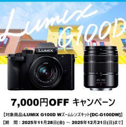 パナソニックLUMIX G100D Wズームレンズキット[DC-G100DW]【下取優待引有】