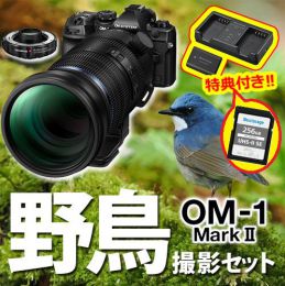 OM SYSTEM OM-1MarkII 野鳥セット/150-600IS+MC-14【Ｗ特典付】